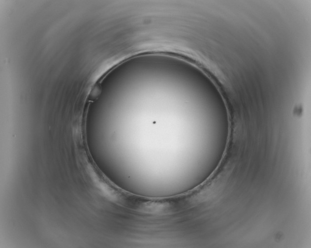 X0000091301513200708172158