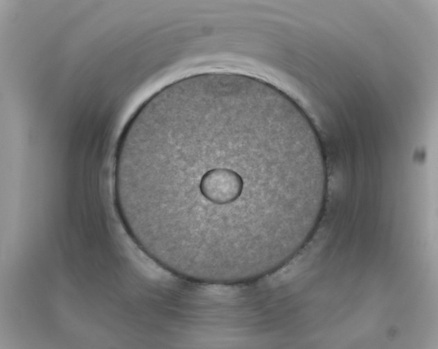 X0000091301514200708172158