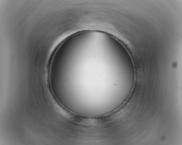 X0000091301517200708172158