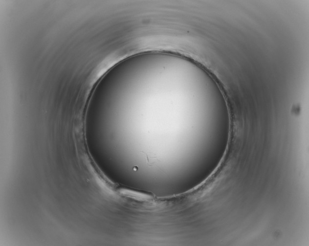 X0000091301521200708172158