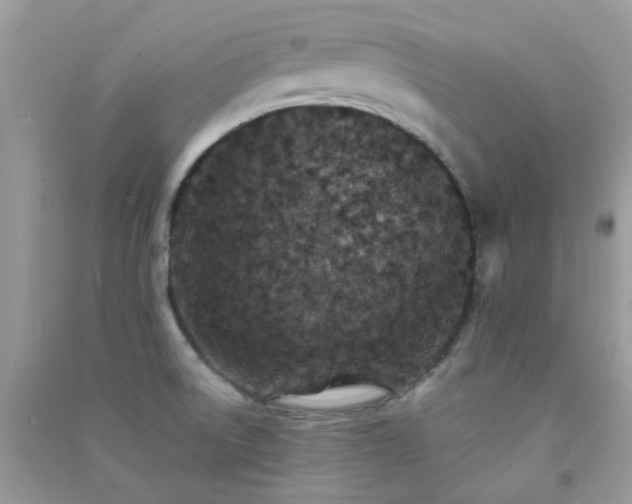 X0000091301522200708172158