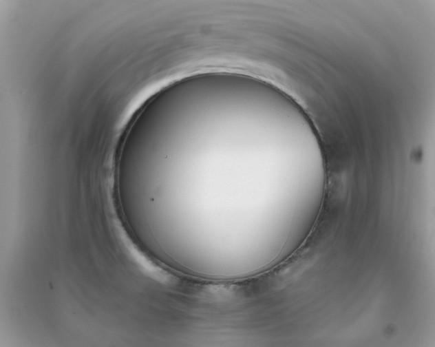 X0000091301523200708172158