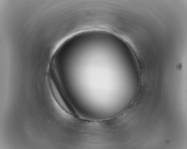 X0000091301524200708172158