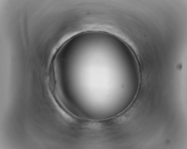 X0000091301525200708172158