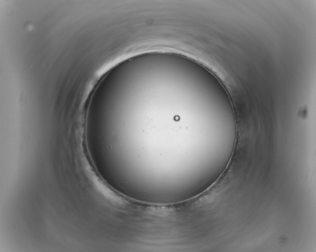 X0000091301526200708172158