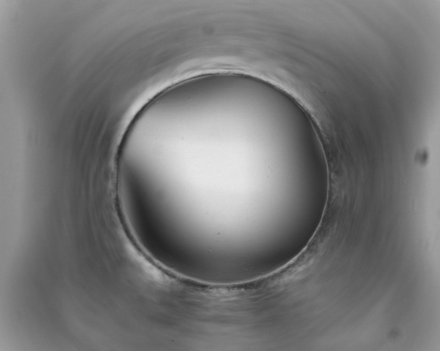 X0000091301527200708172158