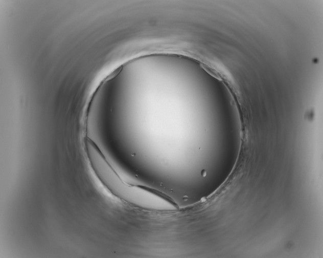 X0000091301528200708172158