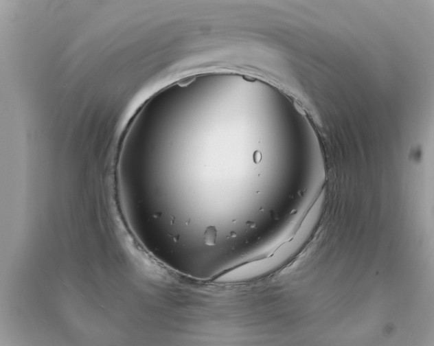 X0000091301530200708172158