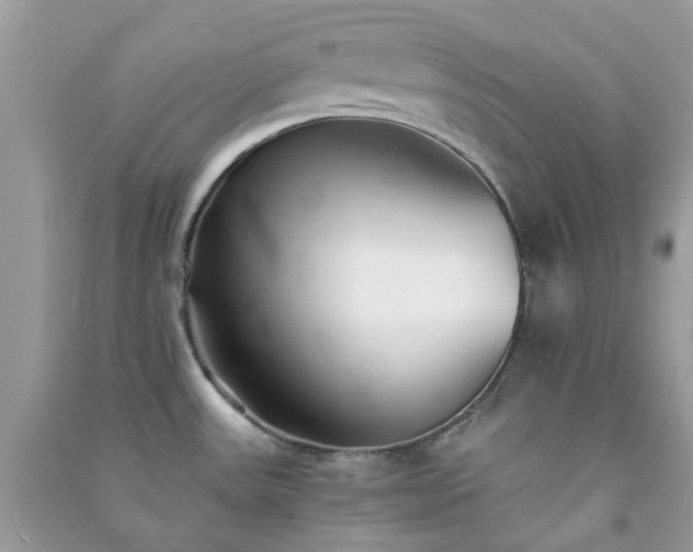 X0000091301531200708172158