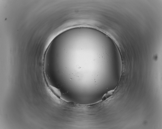 X0000091301532200708172158