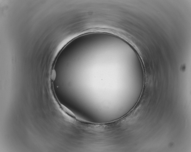 X0000091301533200708172158