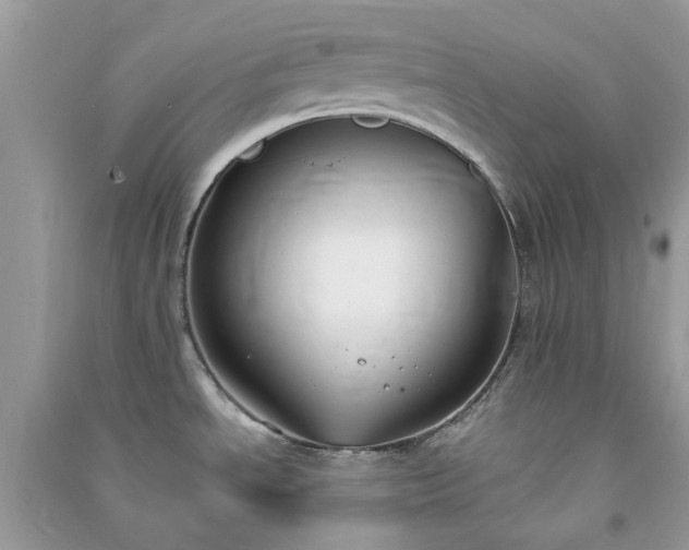 X0000091301534200708172158