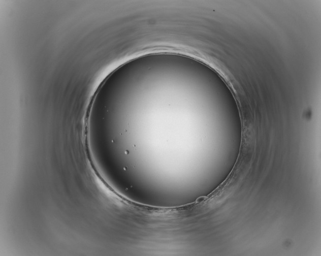 X0000091301535200708172158