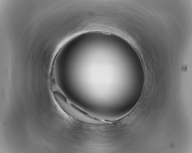 X0000091301536200708172158