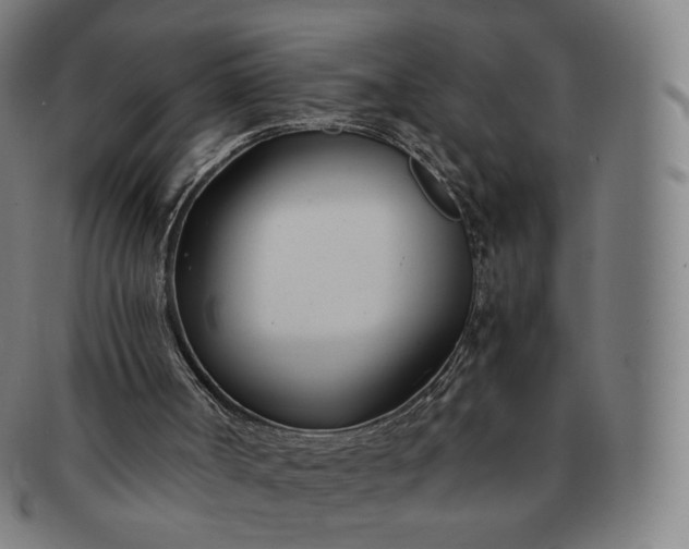 X0000091300002200708241101