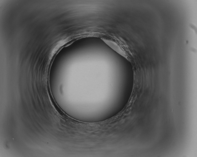 X0000091300003200708241101