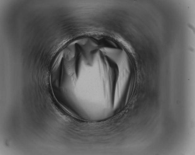 X0000091300009200708241101