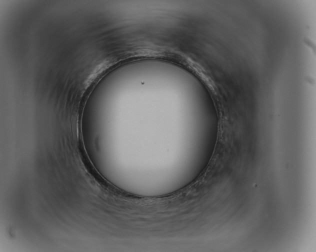 X0000091300011200708241101