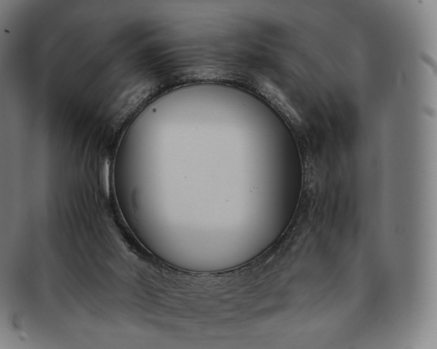 X0000091300014200708241101