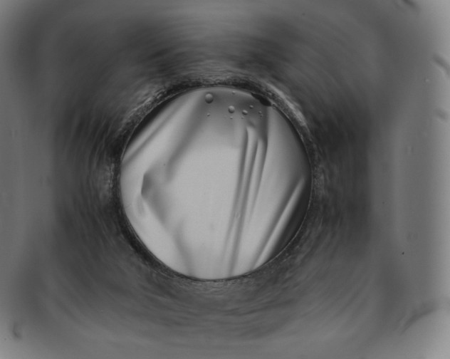 X0000091300018200708241101