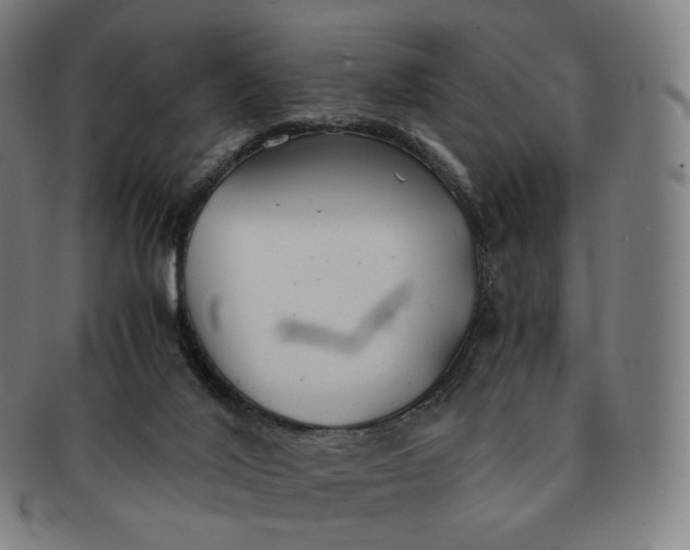 X0000091300020200708241101