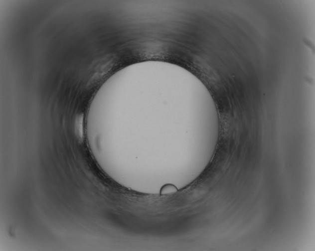 X0000091300028200708241101