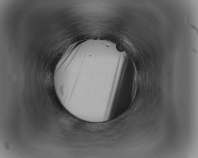 X0000091300029200708241101