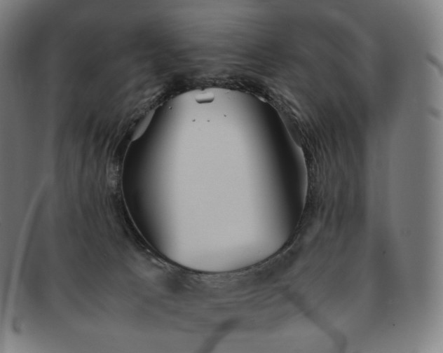 X0000091300033200708241101