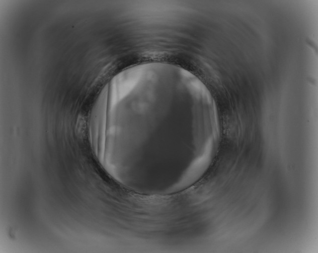 X0000091300036200708241101