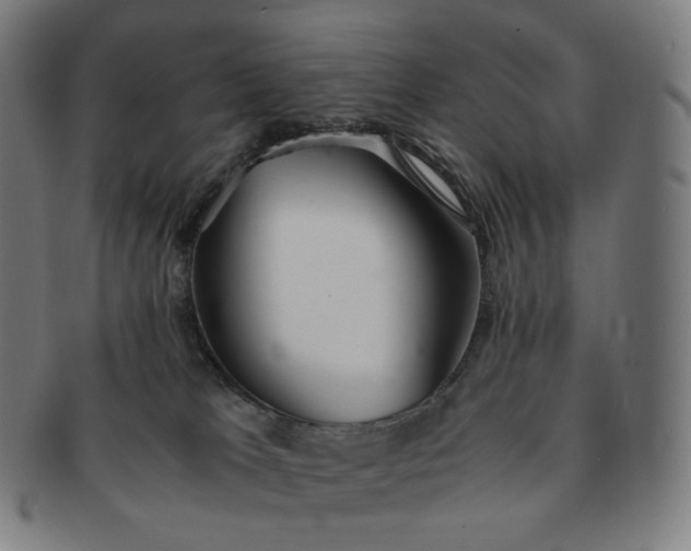 X0000091300037200708241101