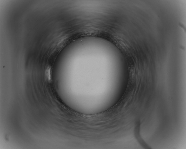 X0000091300042200708241101