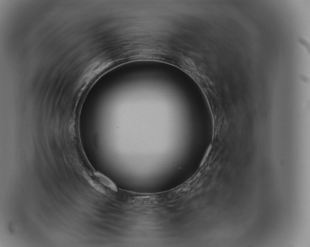 X0000091300050200708241100