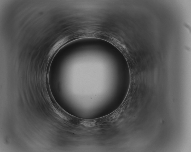 X0000091300051200708241100