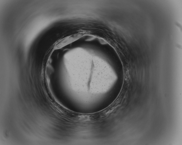 X0000091300052200708241100