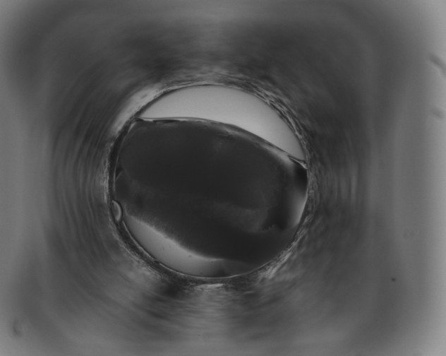 X0000091300054200708241100