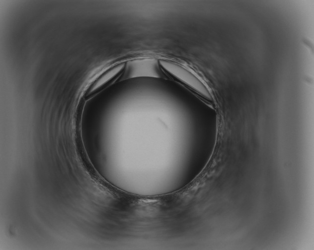 X0000091300055200708241100