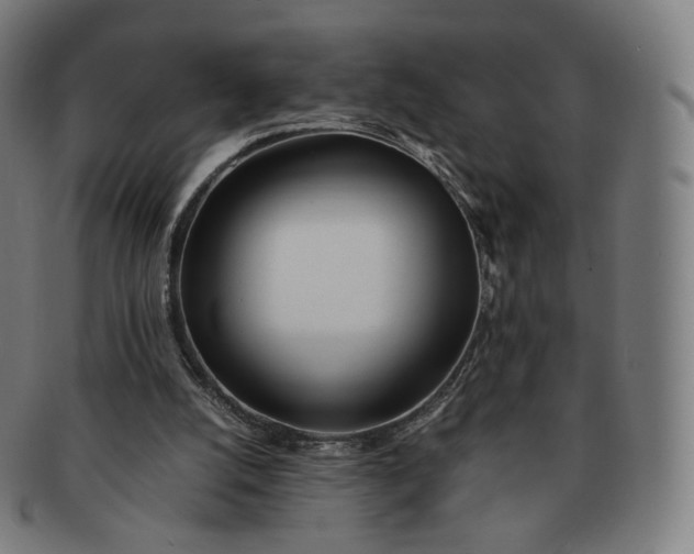 X0000091300056200708241100