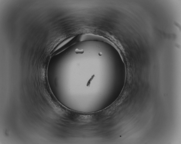 X0000091300057200708241100