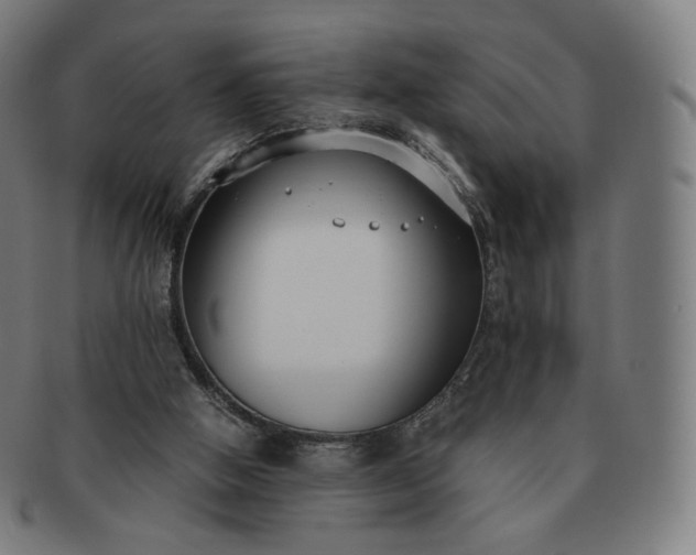 X0000091300058200708241100