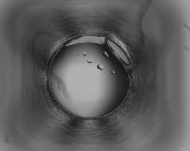 X0000091300059200708241100