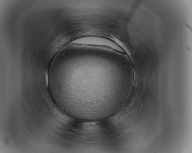 X0000091300061200708241100