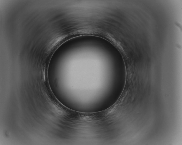 X0000091300062200708241100