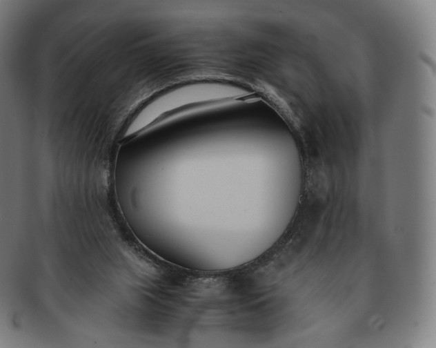 X0000091300063200708241100