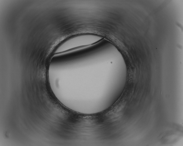 X0000091300064200708241100