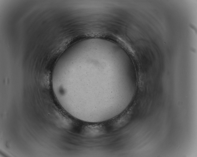 X0000091300065200708241100