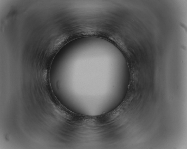 X0000091300066200708241100