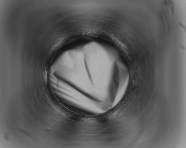 X0000091300067200708241100