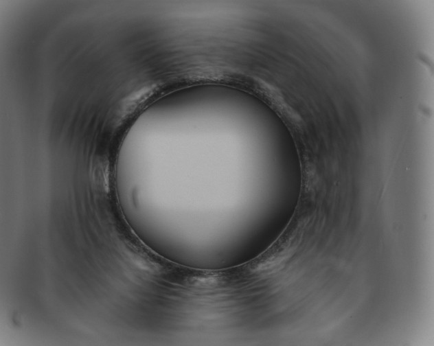 X0000091300068200708241100