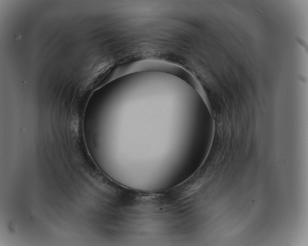 X0000091300072200708241100