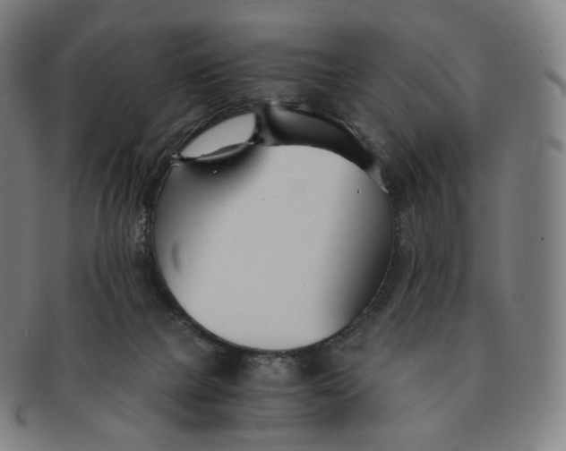 X0000091300073200708241100